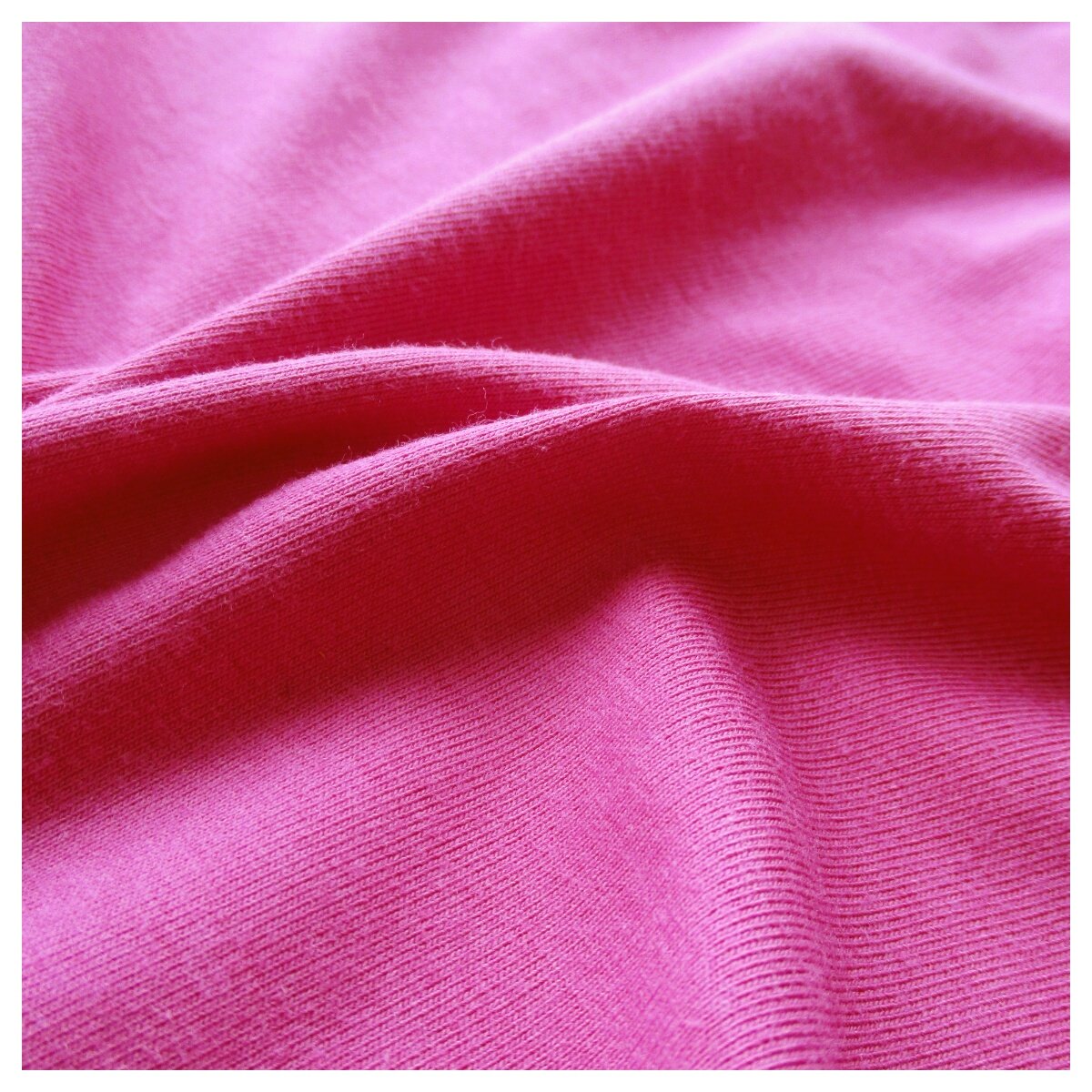 ORGANIC COTTON SPANDEX - GLOBE-TEX ENT.