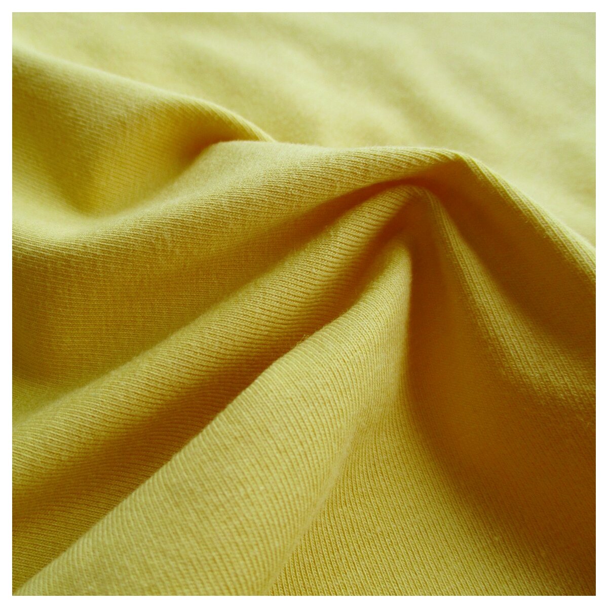 ORGANIC COTTON SPANDEX - GLOBE-TEX ENT.