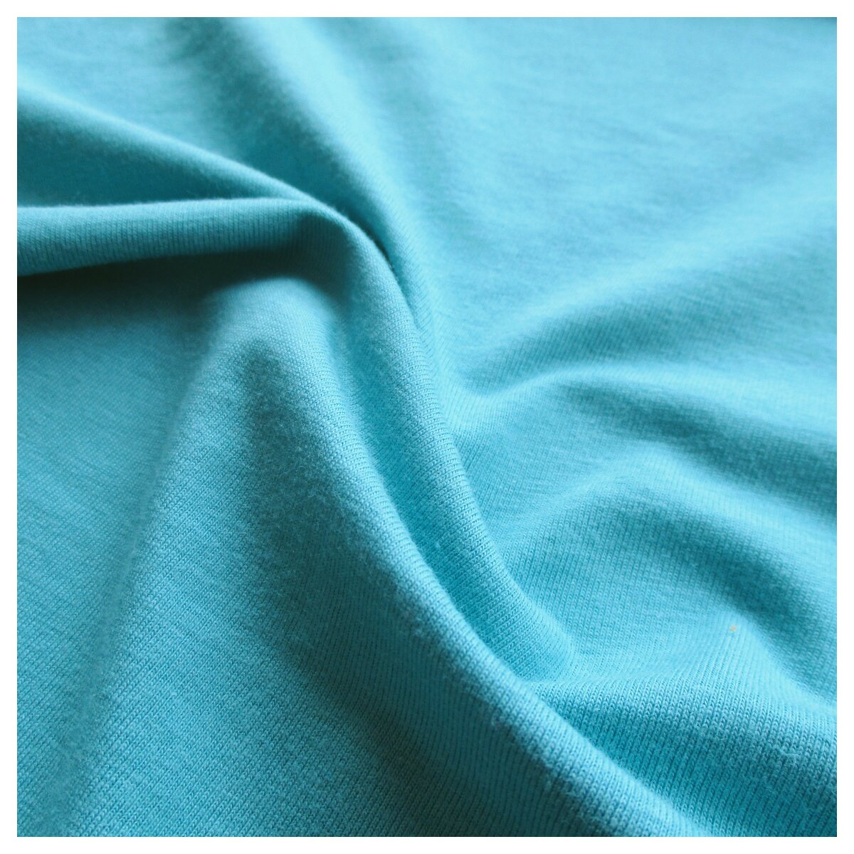 ORGANIC COTTON SPANDEX - GLOBE-TEX ENT.